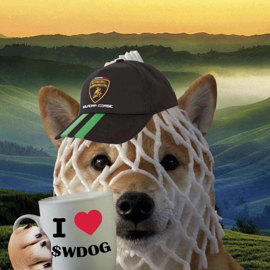 wrappeddog's tweet photo. wGM $wDOG https://t.co/zPGDkfjxI9