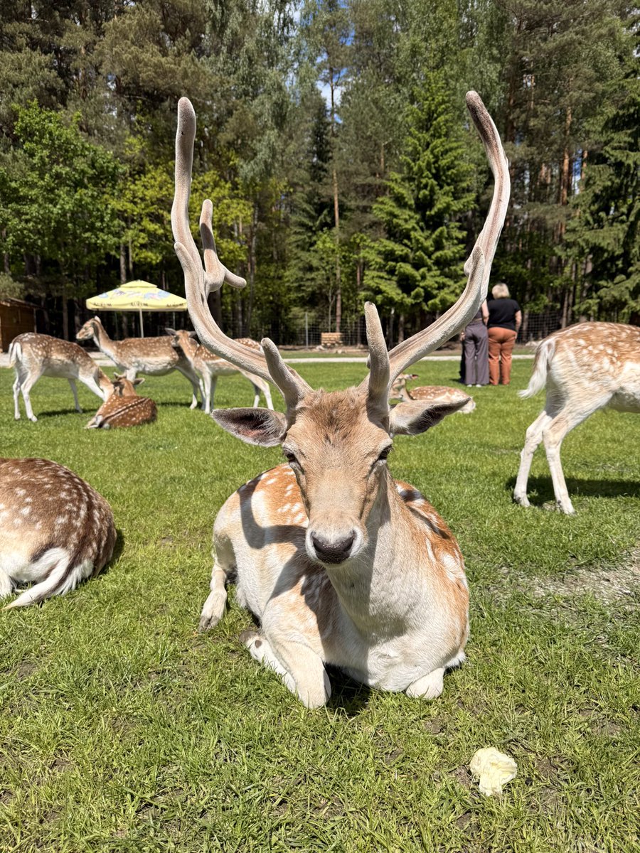 RichardJohn's tweet photo. been making friends https://t.co/FBxAOIkhli