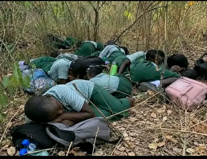 Chidiebe2's tweet photo. What is really happening in Nigeria
@CNN
@BBCBreaking https://t.co/KImZDp7zkU