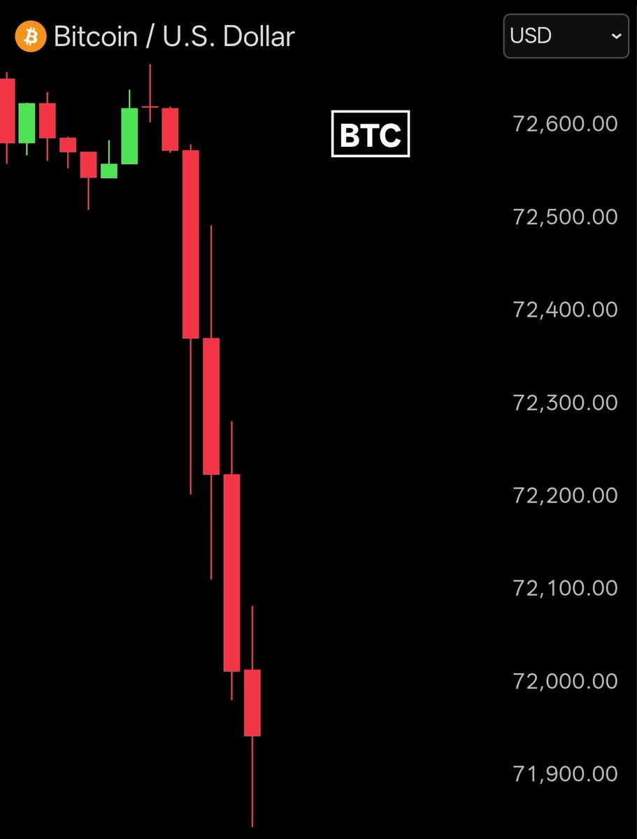 Bull Theory tweet media