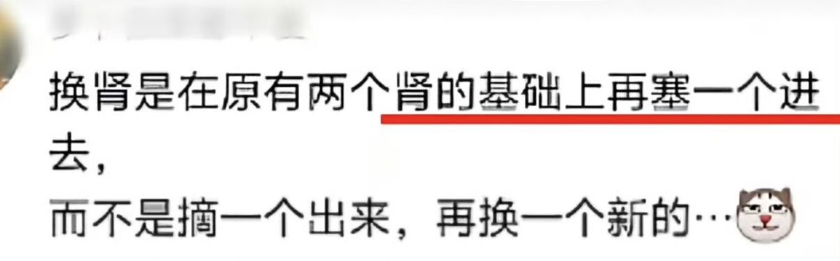 夜之城鼠鼠 tweet media