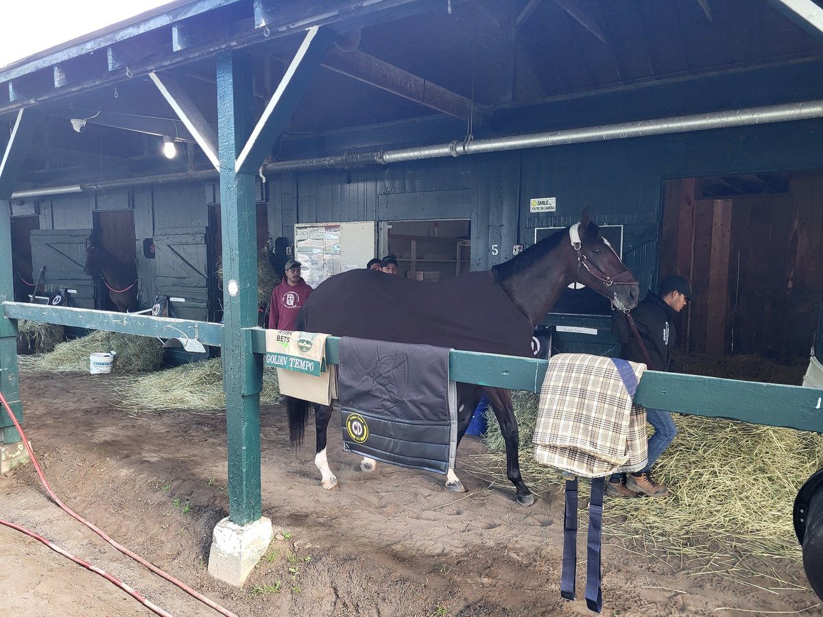 Mike_MacAdam's tweet photo. Derby winner https://t.co/bUTnFkJnBJ