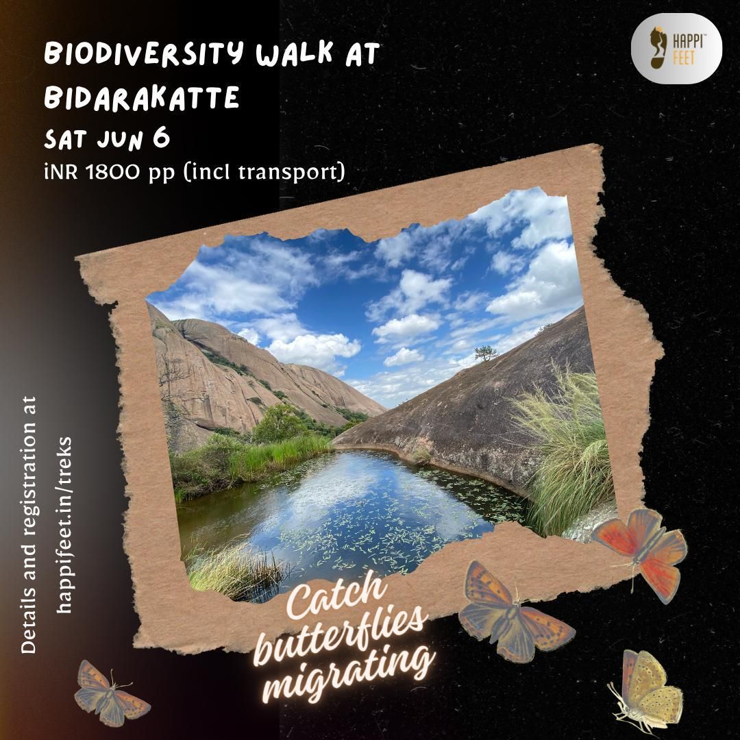 happifeet5's tweet photo. Butterfly migration season is here 🦋🌿

Join us for a biodiversity walk at Bidarakatte this Saturday and explore one of the most beautiful rocky landscapes near Bangalore.

🔗 https://t.co/bLvq2y73Bb 

#Happifeet #ButterflyMigration #NatureWalk #BangaloreTrek #BiodiversityWalk https://t.co/FBcyNDVozs