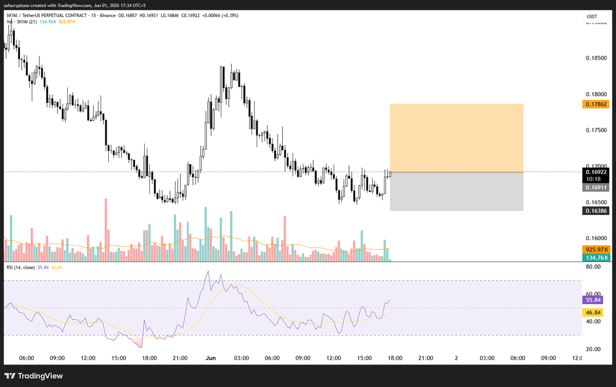 Safusignals's tweet photo. All market Dumping but I am Long on $SKYAI https://t.co/rQdf2Vmzhc