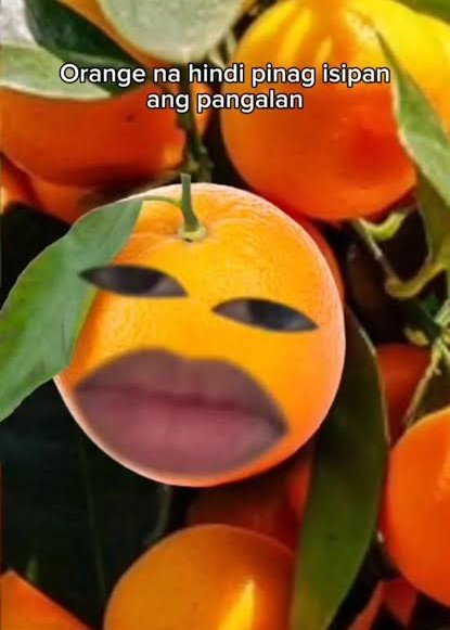 starryvesr's tweet photo. magkaano-ano po si sharmaine at sheena??? https://t.co/WLqM4Y93cv