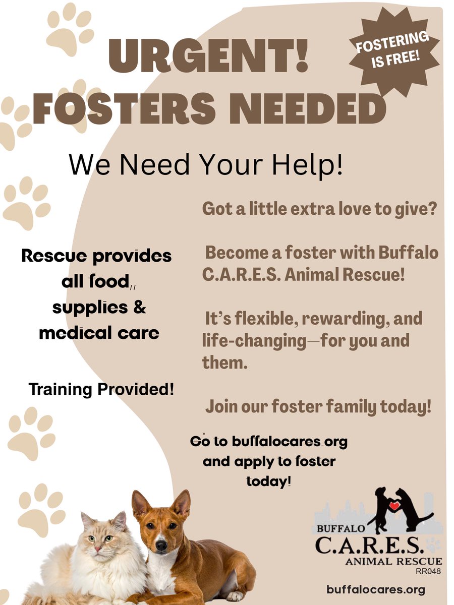 BuffaloCARES's tweet photo. If you ever thought about fostering, now is the time. We have dogs, cats and small animals  of all ages in need. Please apply today at https://t.co/nOVnX2trZ4 https://t.co/Q0VbraIdZF