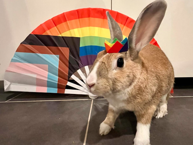 bunnybeloved_'s tweet photo. @lavenderghostco happy pride month!!!
#SaveLockwoodandCo #LockNationPride https://t.co/2yChilpc76