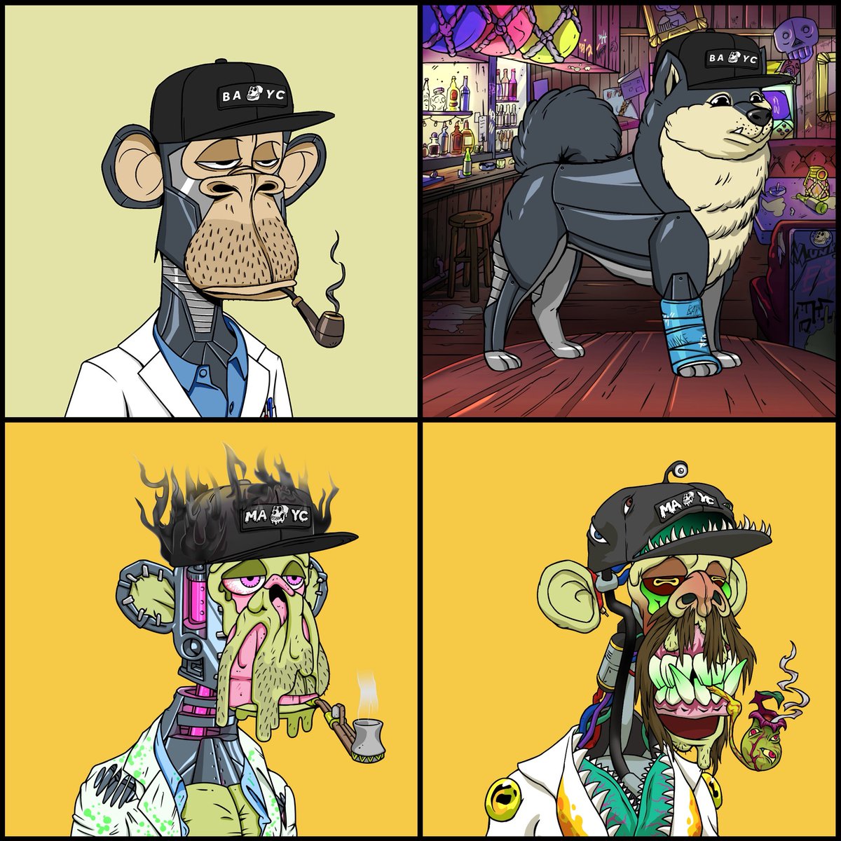 0xdort's tweet photo. i was born today quite a few years ago 🎉🎂

bored ape yacht club. 

good vibes club. 

gm to all supporters https://t.co/IK3dFhPUsl