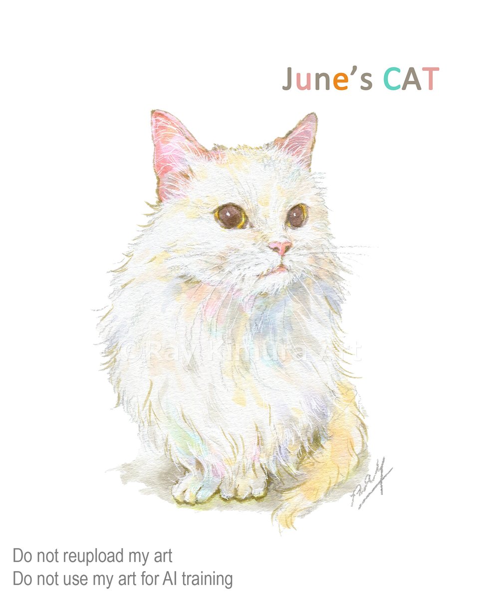 raykimura_art's tweet photo. 【Monthly Cats - June】

今年は毎月1枚、猫のポートレートを描いてます。
6月の子猫は愛くるしい表情の真っ白なマンチカン。

This year I’d like to draw one cat portrait each month. So, June's kitten is the adorable white Munchkin.

⬇️1月~5月のにゃんこ達は引用元にて🐈 

  #猫 #マンチカン #アナログ絵