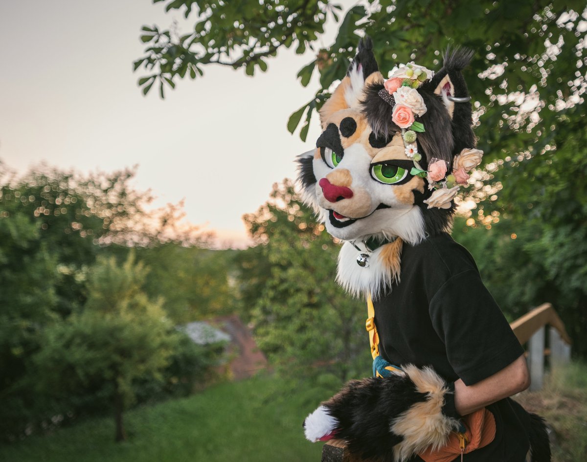 ZimtGadse's tweet photo. MEOW MEOW RAWRRR!!

#furryㅤㅤㅤ #FursuitEverday #fursuit https://t.co/l8LXTJPZPF