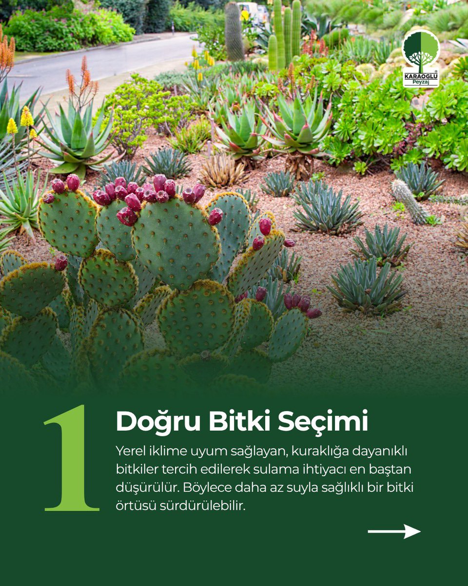 KaraogluPeyzaj's tweet photo. Bahçelerde suyun verimli kullanımı artık bir tercih değil, zorunluluk. 🌿💧

Küçük gibi görünen bu önlemler, uzun vadede hem doğayı hem de geleceği koruyan güçlü bir etki yaratır. 🌱

#Bahçe #Su #KaraoğluPeyzaj #Peyzaj #Landscape https://t.co/VZKSPsJUQI