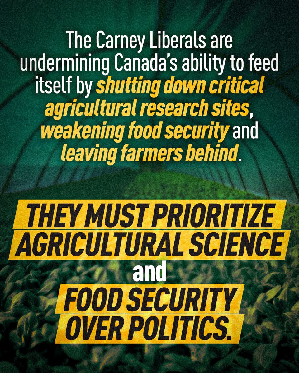 AndrewScheer's tweet photo. Mark Carney is shutting down agricultural research across Canada, including the Indian Head Research Farm in Regina—Qu’Appelle.

While the work is local, the impact is national.

Each site is unique, conducting research tied to our specific soils and climate.

Critical work on soil health and seed development will be lost.

Only Conservatives will protect the science that feeds our nation.