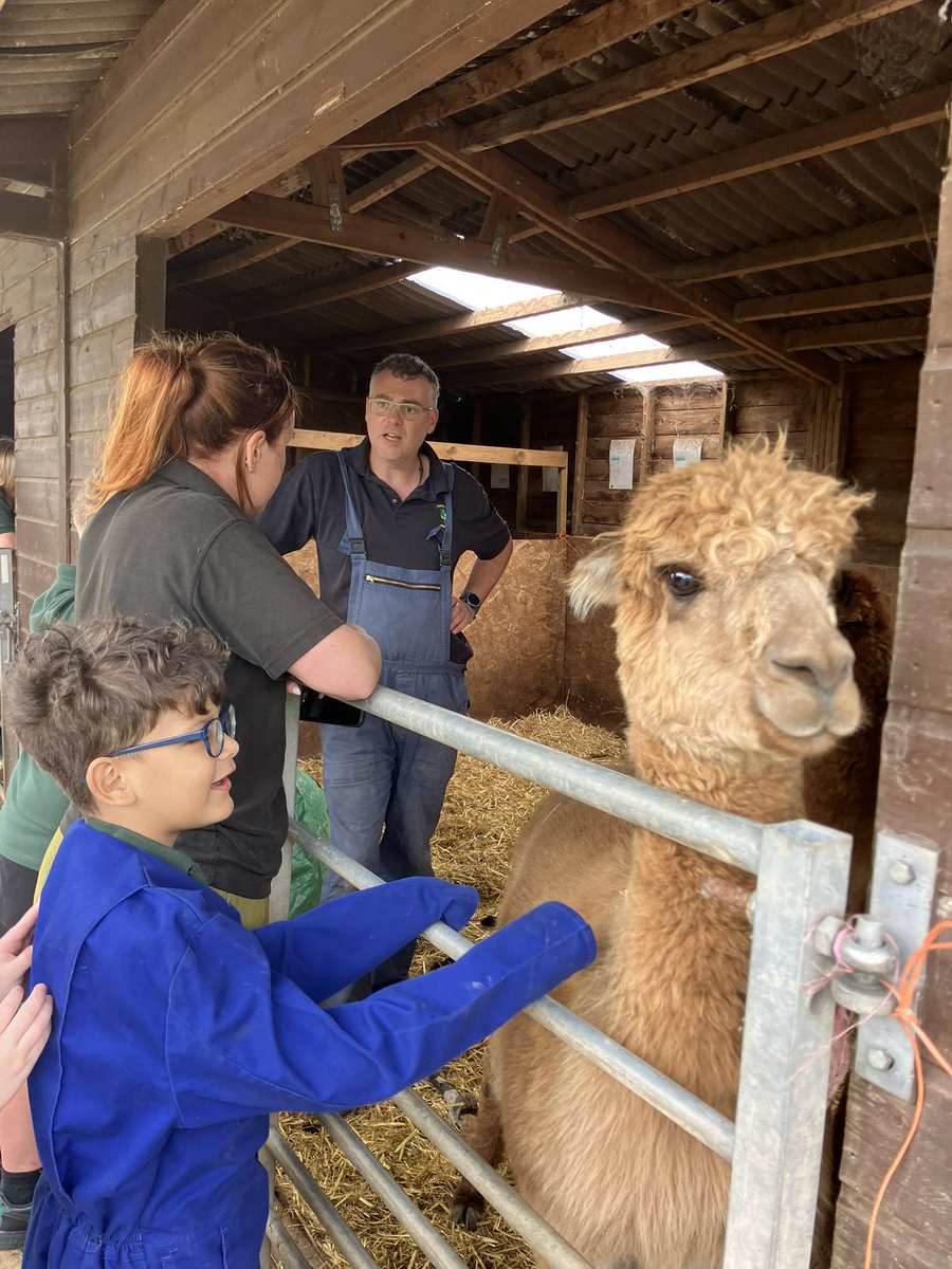 mvfsweb's tweet photo. Class 2 had some excellent helpers on the farm today! 🐑 🐖 https://t.co/olXIeFm6oM