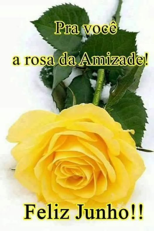 lita major tweet media
