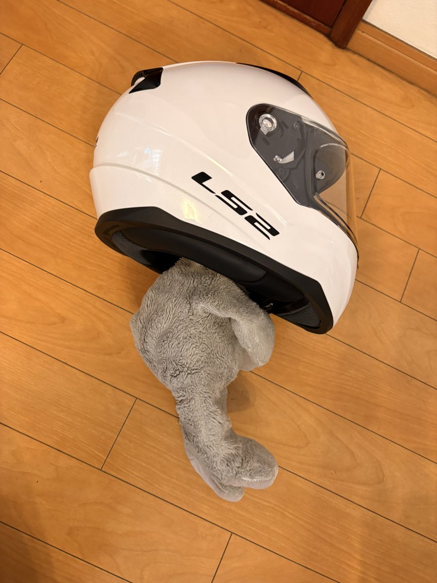 hatoo810's tweet photo. 今日初めてバイクで公道走った…！
ウィンカー出すの下手くそすぎる💥
車みたいなのにしてほしい(強欲) https://t.co/wgkGgJyaO9