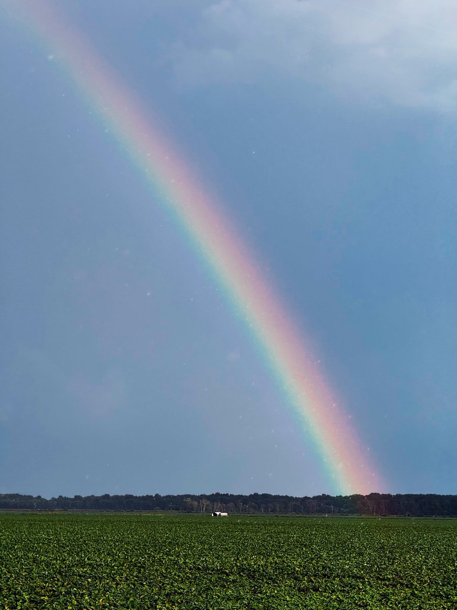 benjaminlately's tweet photo. saw a rainbow on the way to the casino, left up 4k 🤑 🎰 https://t.co/1zrywCEWYE