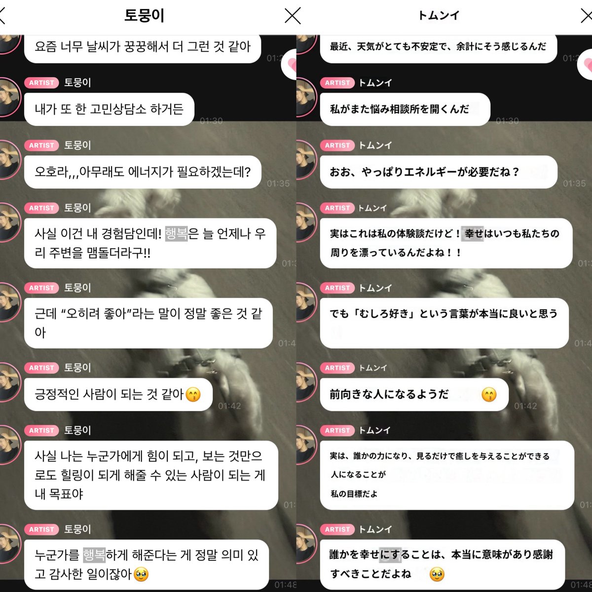 포도큐 tweet media