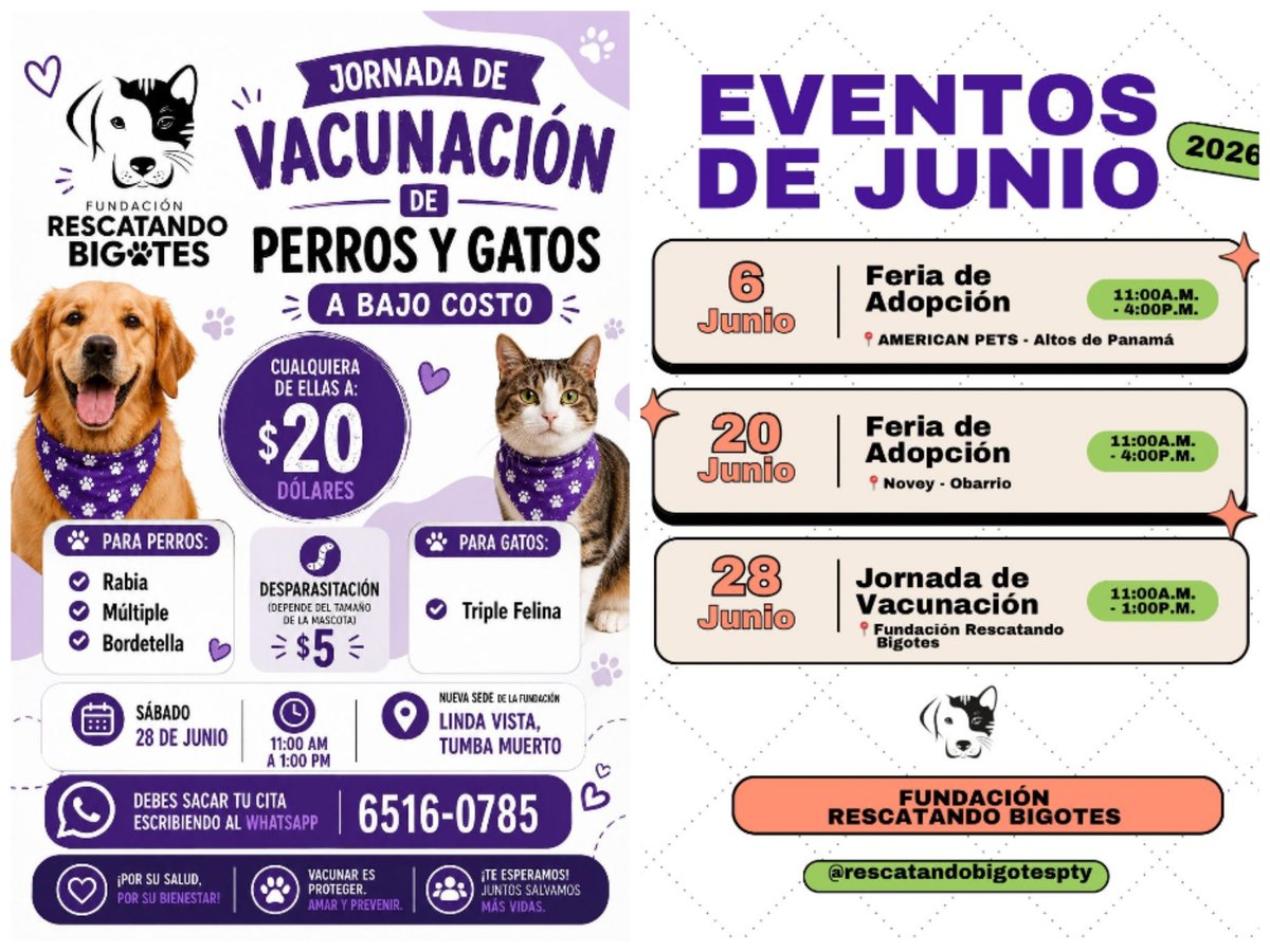 Doris2614's tweet photo. 🐾✨ ¡Junio viene cargado de oportunidades para ayudar y cambiar vidas! ✨🐾

En Fundación Rescatando Bigotes tenemos preparados varios eventos para seguir promoviendo el bienestar animal y encontrar hogares llenos de amor para nuestros rescatados. 💙 https://t.co/UAYQLefJgU