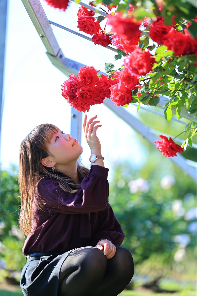 ha_paru56's tweet photo. 念願の香りのばらまつりで、
撮影していただきました♡🌹

めちゃくちゃ素敵な写真をたくさん撮っていただきましたー！

📷 @Hitoshi84757872 さん
いつもありがとうございます☺️✨ https://t.co/FIXUGzTdik