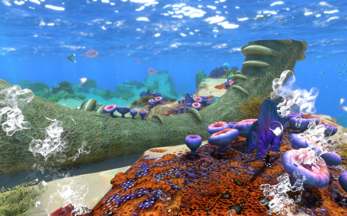 GlowinAndWhalin's tweet photo. whether you are on 4546B or Proteus or Earth, have a Happy Reef Awareness Day!  are you aware of reefs?  you should be, they are very joy lovely nice. https://t.co/8o5Fy9AFqE