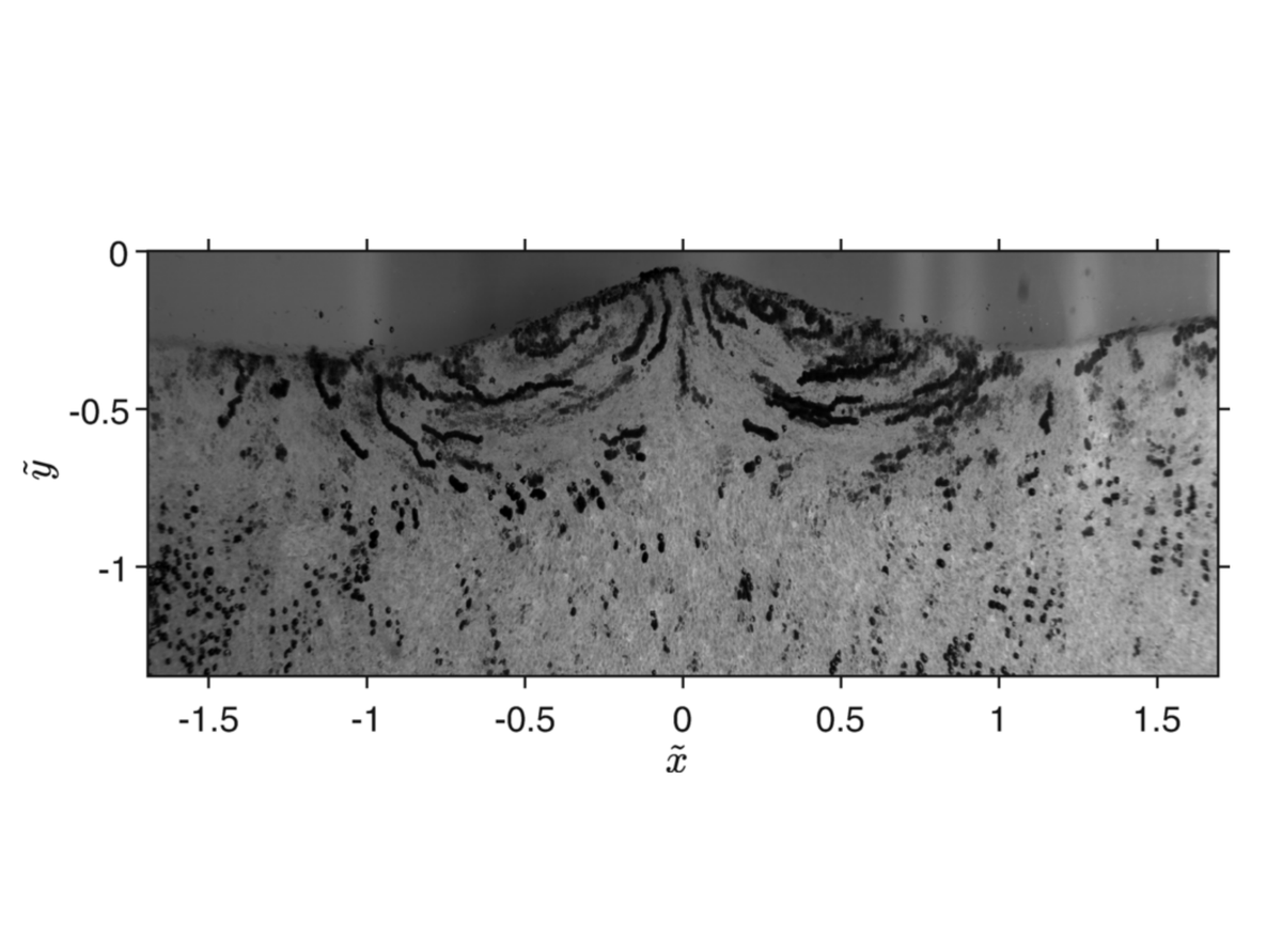 PhysRevFluids's tweet photo. ✨ Highlights from the May issue

(1) https://t.co/Hg6h8KSnTz
(2) https://t.co/ALMALJXRIe
(3) https://t.co/oLR8AABVVE
(4) https://t.co/v26WLC49R3 

The full PRFluids issue from May is now available at https://t.co/KvURD3lwgk https://t.co/rBQGogDhnK