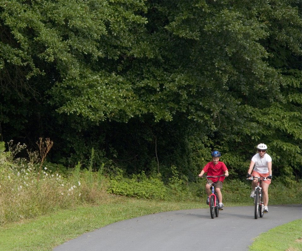 Healthier901's tweet photo. Whether you’re walking, running, playing team sports or simply enjoying the fresh air, spending time outside can make physical activity feel less like a chore and more like something you look forward to. 🌞💚 Read more:
https://t.co/VFuiWvUtQB https://t.co/F9Q1dByvsy