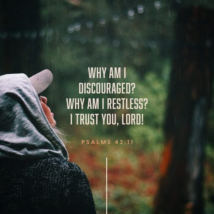 Renderman072's tweet photo. Bible Verse Of The Day:
“Why am I discouraged? Why am I restless? I trust you, Lord!.” - psalms 42:11

@youversion

#verseoftheday #bibleverses #reflections https://t.co/MCcUtAXTVO