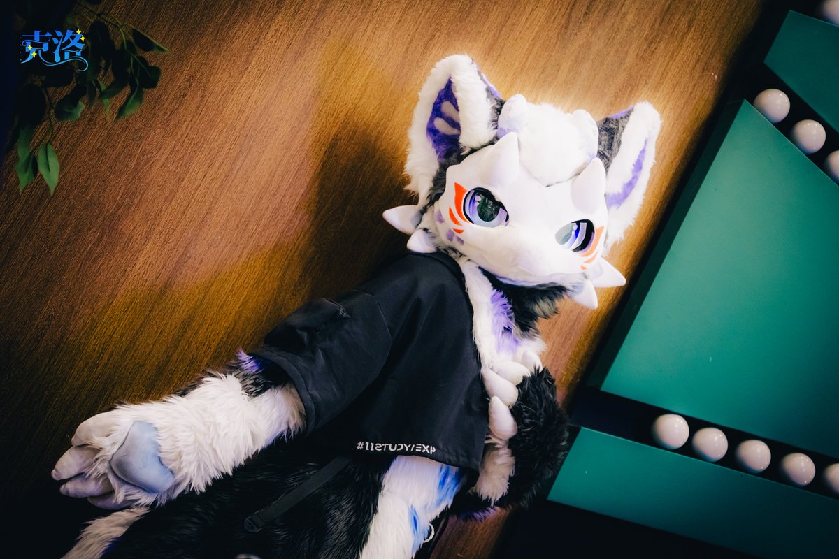 Cold_Powerful's tweet photo. 《摄影周记31》
其实hifurry结束的时候，和朋友无缝衔接了一场小聚——
PCD很难受？再来一场就好了！
真喜欢这种布景漂亮的民宿...w

🌻🐲：茶茶 @ChaHuaLoong
🦴🐲：乘灵
🫐🐲：Kalser
🌊🐟：灵海 @LH_Sea_Dragon
⭐️🐶：星愿

#FursuitEveryday
#FursuitFriday
#fursuiter
#fursuit
#furry https://t.co/340srcx16P