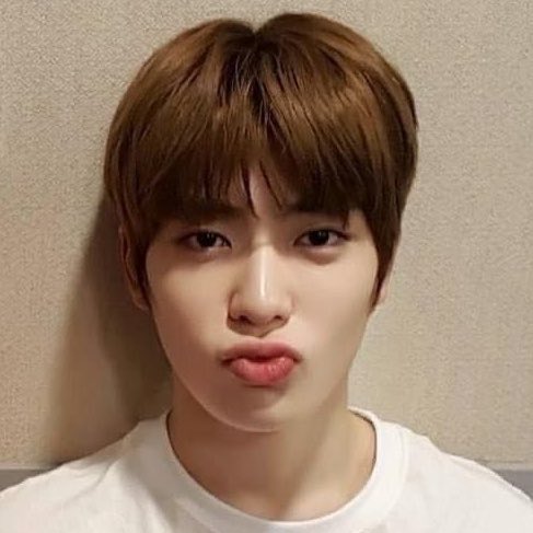 ออ อู๊ด คึก คัก tweet media