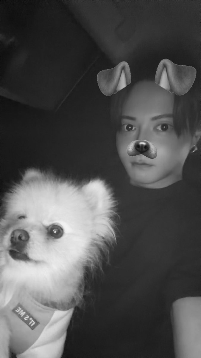 chance__sho's tweet photo. 犬2匹でドライブ🛣️🐶 https://t.co/ZOv71BqdB4