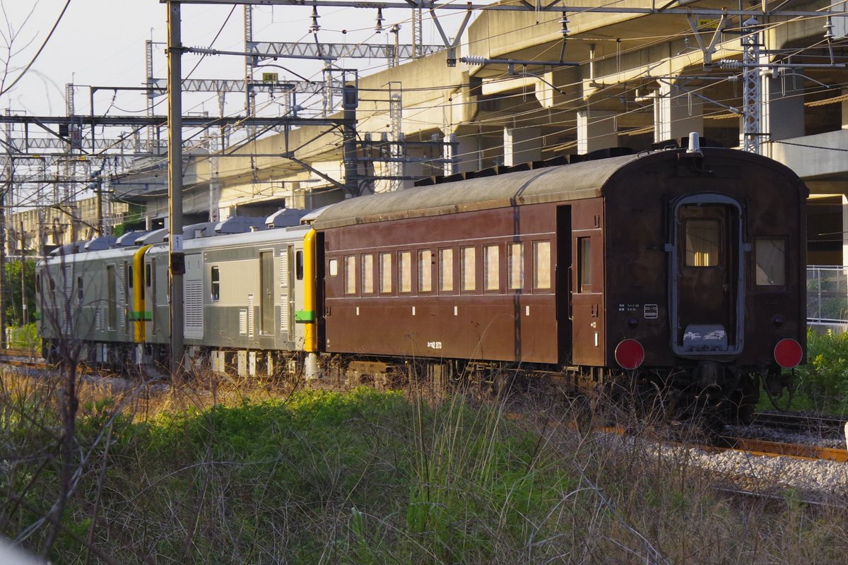 Lizulit_11's tweet photo. 2026/06/01(月曜)

配9721D　全検AT入場配給
GV-E197系TS04(M車)+ｽﾊﾌ42-2173

493牽引かと思いきや、GVでの牽引でした。

#リズリット撮影記 https://t.co/1nTDaZkc9s
