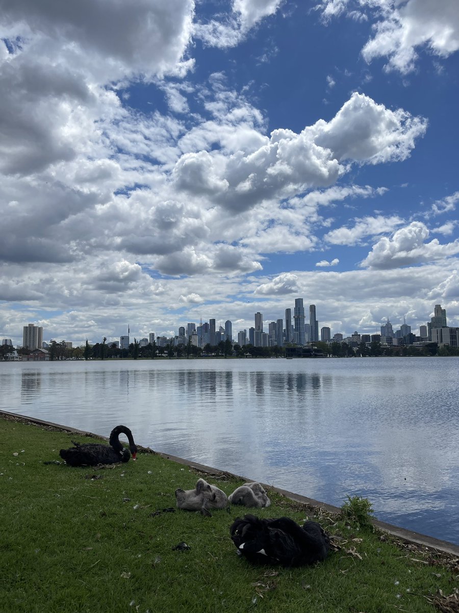red_per's tweet photo. MELBOURNE ที่มีแดด https://t.co/eZ1u3V7OTP