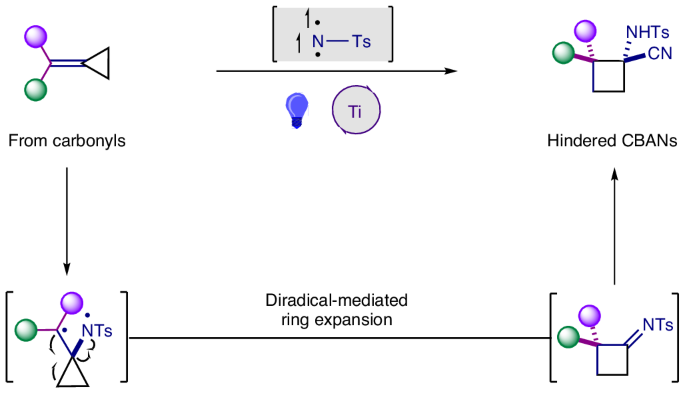 ChemistryNews's tweet photo. Modular diastereoselective synthesis of hindered cyclobutane amino nitriles through triplet nitrene-mediated ring expansion https://t.co/rFn2htjjwt https://t.co/WcerAk78zr
