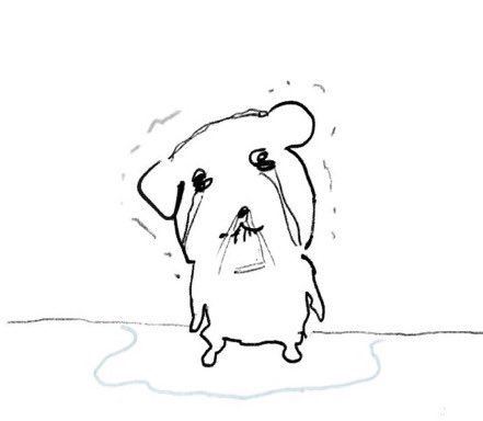 미오 tweet media