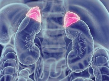 VolveraTi_'s tweet photo. Un neurólogo dijo:

"Saca la lengua durante 40 segundos: esto elimina el cortisol más rápido que cualquier pastilla o ejercicios de respiración.

Las grandes farmacéuticas están en pánico..."

- Hilo - https://t.co/eSyVpHVe2G