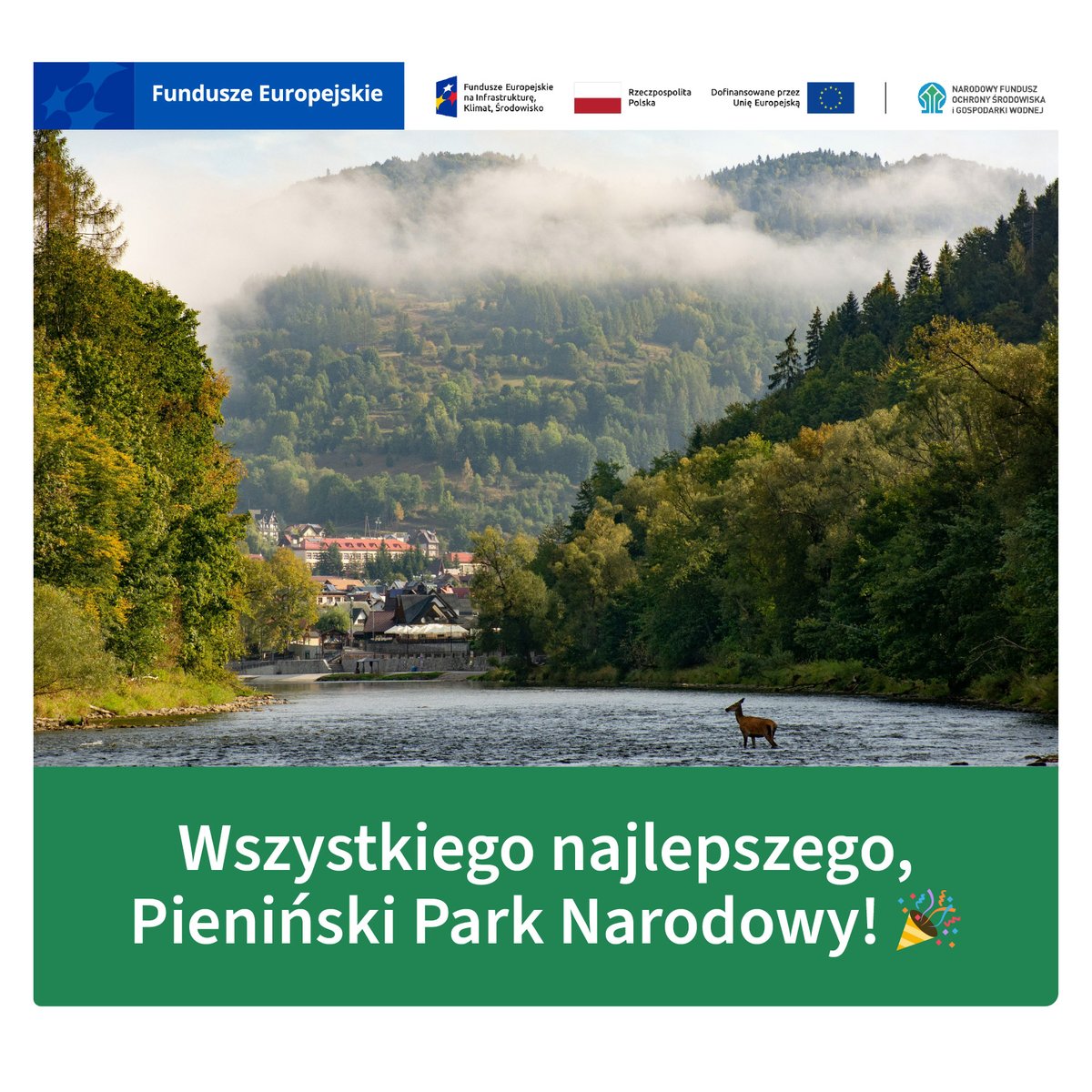 NFOSiGW's tweet photo. 🌿 94 lata troski o wyjątkową przyrodę Pienin! 💚
1 czerwca Pieniński Park Narodowy obchodzi 94. rocznicę utworzenia. To najstarszy park narodowy w Polsce i jedna z najcenniejszych przyrodniczo enklaw naszego kraju. Już w 1960 r. Międzynarodowa Unia Ochrony Przyrody uznała Pieniny za „jedno z najpiękniejszych miejsc w Europie”.

Od ponad 30 lat #NFOŚiGW wspiera ochronę tego wyjątkowego miejsca. Od 1991 r. Fundusz dofinansował 61 projektów realizowanych przez Pieniński Park Narodowy. Wśród nich znalazły się działania na rzecz ochrony gatunków i siedlisk, wykup gruntów, rozwój infrastruktury edukacyjnej, ochrona przeciwpożarowa, inwestycje w elektromobilność oraz nowoczesne systemy monitoringu przyrody.

🦋 Jednym z pierwszych przedsięwzięć był program restytucji niepylaka apollo, jednego z najbardziej charakterystycznych gatunków Pienin.

Dziś kontynuujemy to wsparcie:
➡️ ponad 1,16 mln zł z programu #FEnIKS przeznaczono na ochronę zagrożonych gatunków i siedlisk,
➡️ działania obejmą ok. 13 ha muraw i łąk z obszaru Natura 2000,
➡️ wsparciem objęto 6 zagrożonych gatunków, https://t.co/YMg5dqjk9b. niepylaka apollo, ropuchę szarą i podkowca małego,
➡️ Park zostanie wyposażony w specjalistyczny sprzęt do działań terenowych.

To tylko część realizowanych działań. W latach 2023-2025 Pieniński Park Narodowy otrzymał blisko 18 mln zł wsparcia na pięć projektów. Dzięki tym środkom realizowana jest https://t.co/YMg5dqjk9b. modernizacja infrastruktury energetycznej i wodno-ściekowej oraz rozwijane są systemy informacji geograficznej (GIS).

🎉 Wszystkiego najlepszego, Pieniński Park Narodowy!

Dziękujemy za 94 lata ochrony jednego z najpiękniejszych zakątków Polski. 🍃🌿🇵🇱

ℹ️ Więcej: https://t.co/AVb83uzQRC

#FunduszeUE #FunduszeEuropejskie #FEnIKS @fundusze_eu @MKiS_GOV_PL