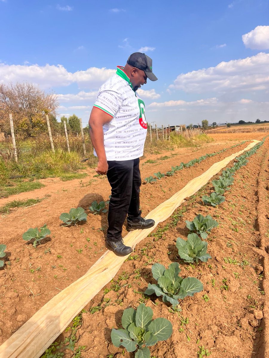 FloydShivambu's tweet photo. The agricultural support programme pilot project we publicly announced we are conducting as part of Mayibuye Agricultural Support Programme is in progress and we will integrate small and medium scale farmers into solid agricultural support with seeds and seedlings, fertilizers, pesticides and offtake agreements once done in  60 days. The mandate remains NOW! #Siyagijima!