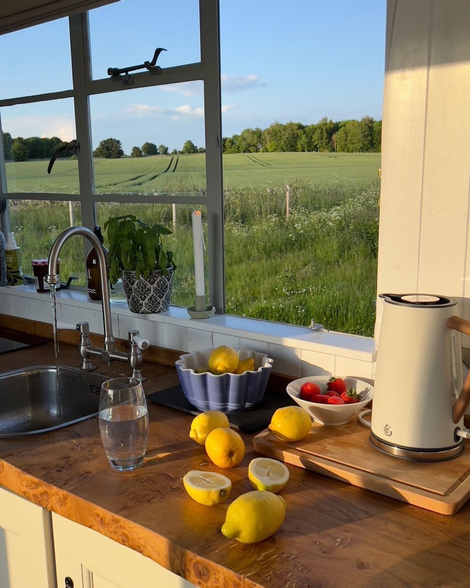 huariqueje's tweet photo. Every kitchen should open to something this green https://t.co/YgDE6n3TPJ