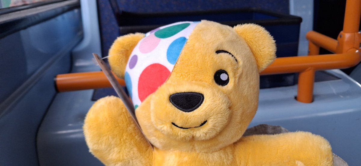 bighamster's tweet photo. Pudsey on a bus to walthamstow pleased to be saved from the charity shop to join hes new friends https://t.co/h5xDF7OLlI