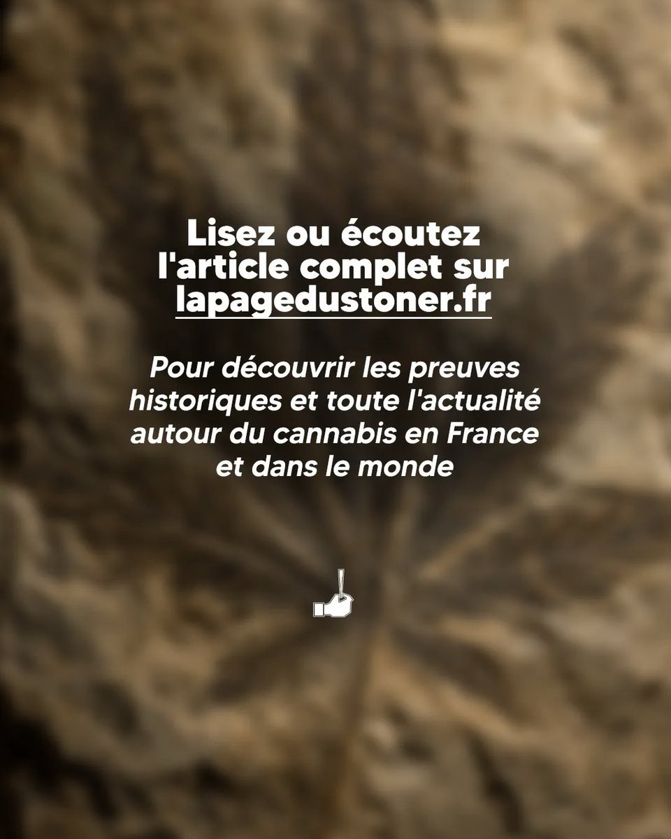 lapagedustoner's tweet photo. https://t.co/j8jKUDRUYW
