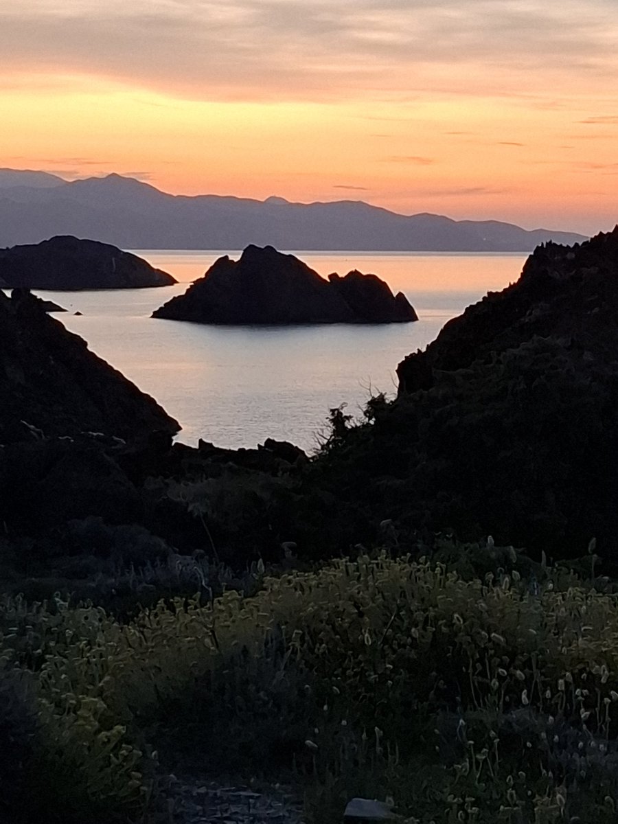 annaespelt's tweet photo. Capvespre de lluna plena a Tudela. Aquí sempre em sento arrelada i corpresa: la bellesa de les roques antiques, el cantar del xoriguer i la cogullada, l'olor del fonoll marí i l'artemisa. Formar part d'allò que és més gran que nosaltres. https://t.co/jUGNff0sRn