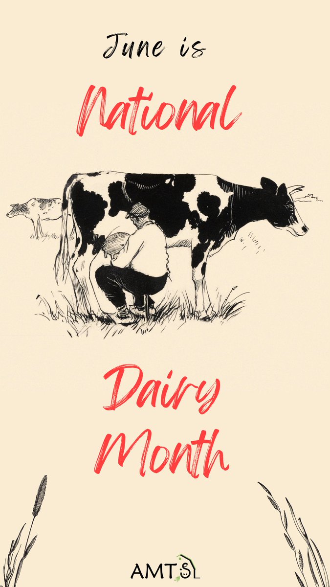 AMTSCattle's tweet photo. June officially became dairy month in 1939! 
It actually started as a way to distribute extra milk during the warmer months. 

Read more about Dairy Month here: https://t.co/IUl0k2Rhkp https://t.co/iNm1sKjw6T