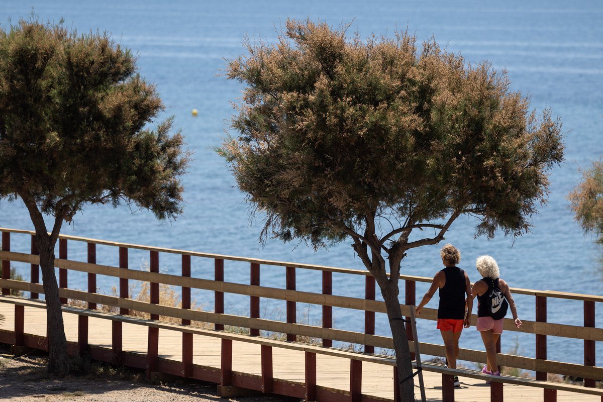 diputacionMLG's tweet photo. 🌊 La @diputacionMLG financia con 1,3 millones de euros nuevos proyectos de la @SendaLitoral en #Mijas y #Benalmádena.

🔗https://t.co/03fUSmRttY

@AytoMijas @BenalmadenaAyto @Francissalado @anacarmenmata https://t.co/JITK7uX0Wk