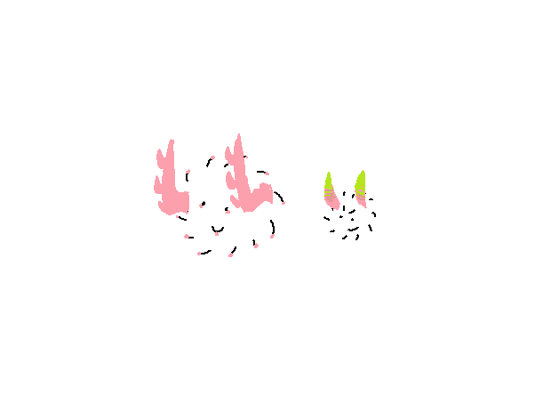 mara! ⋆ tweet media
