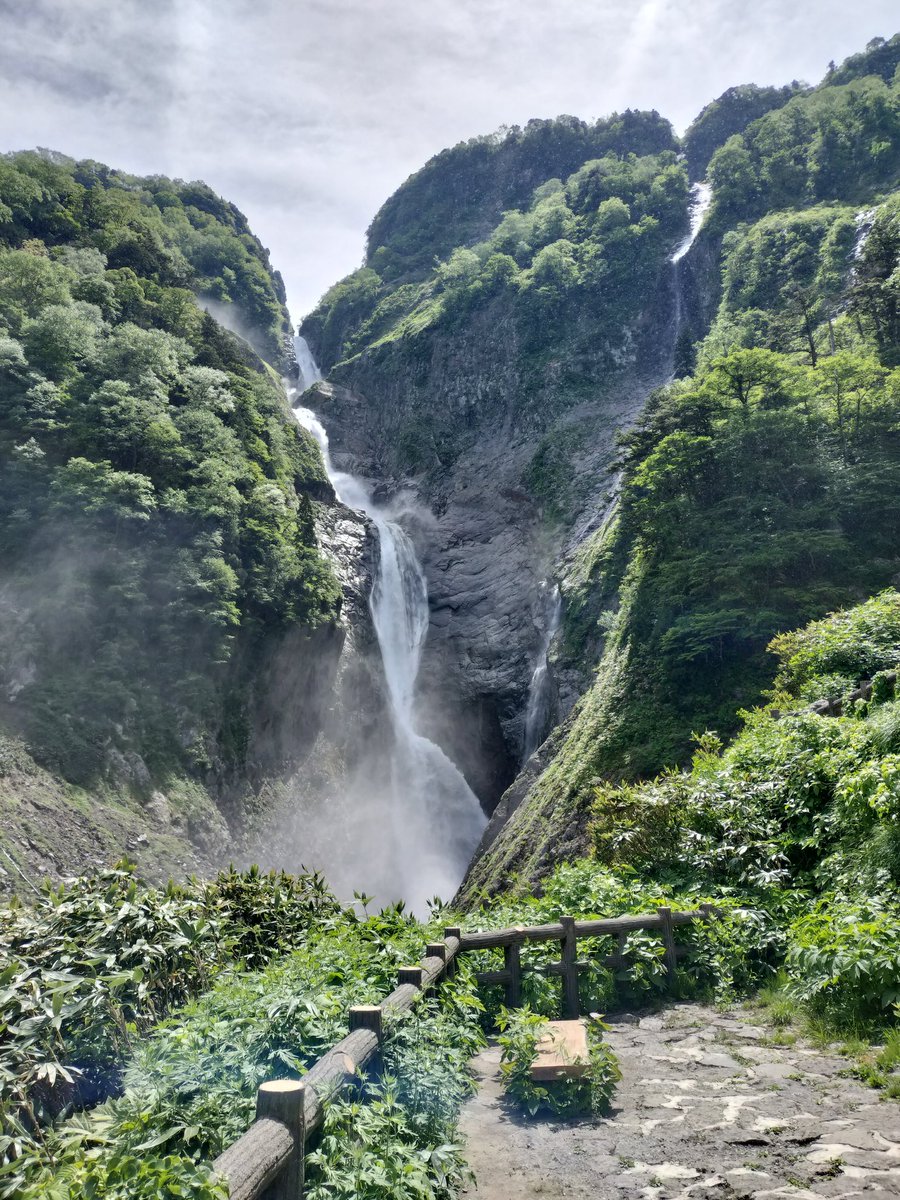 vwpochi's tweet photo. 無事富山遠征より帰宅🏠
844kmの移動距離🚗³₃
180km自転車乗り🚴‍♀️
美味しい物食べて満喫して来ました。
今日は称名の滝観光、迫力ありました。 https://t.co/91mMkR9G03
