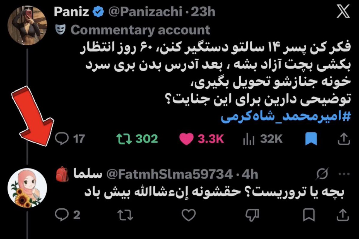 Paniz tweet media