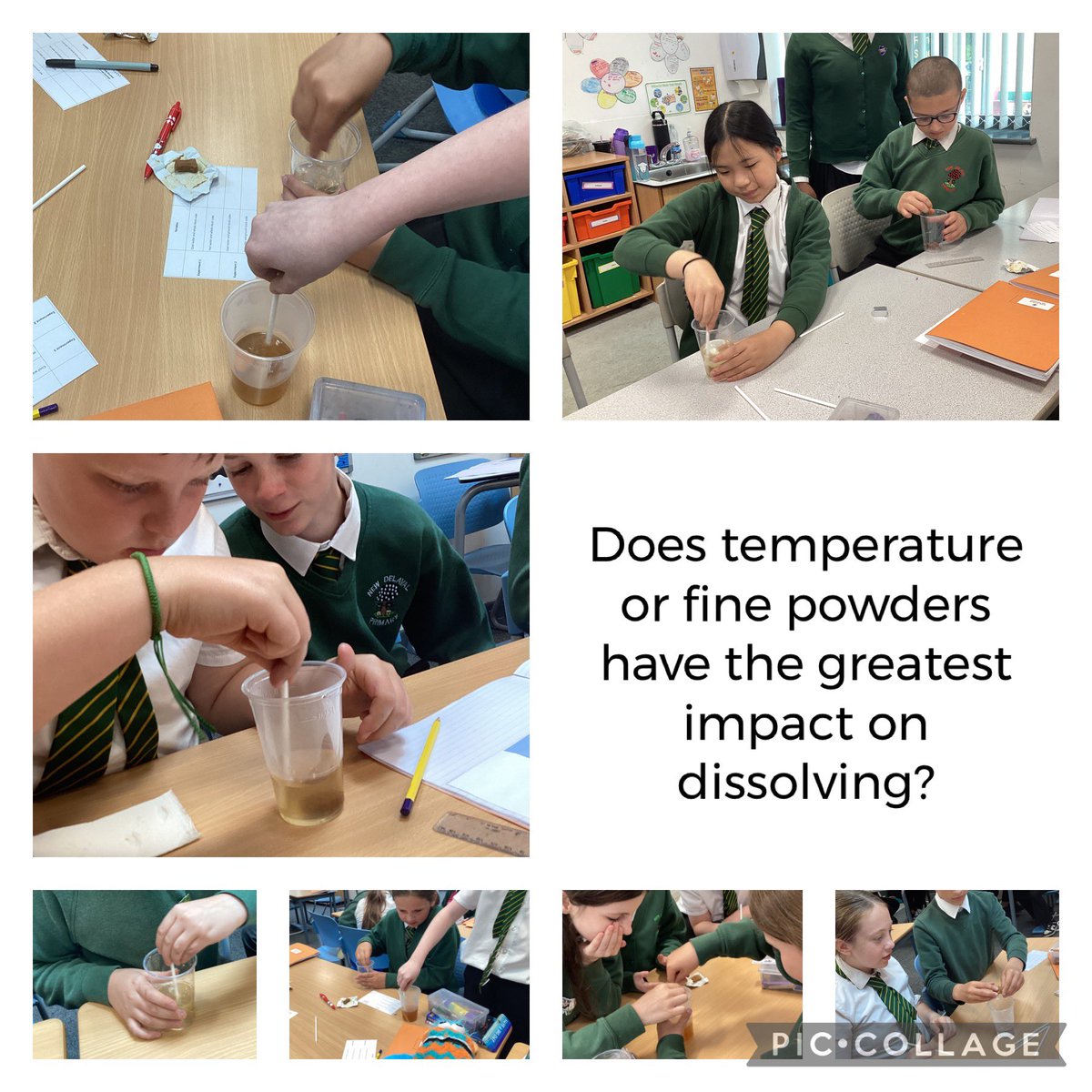 NewDelPrimary's tweet photo. Year 6 have enjoyed being pharmacists today and learnt more about solutes, solvents and solutions! https://t.co/mxI7ZHPa7f
