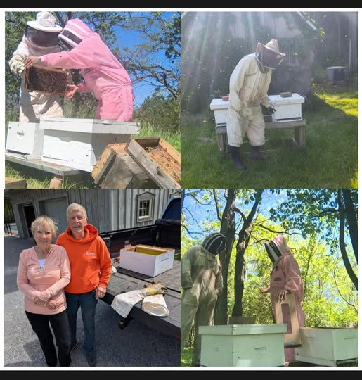 NiagaraBee's tweet photo. This is not just beekeeping.
This is relationship.
This is restoration.
This is people and pollinators learning to thrive together again. https://t.co/wrUqiGTlJp