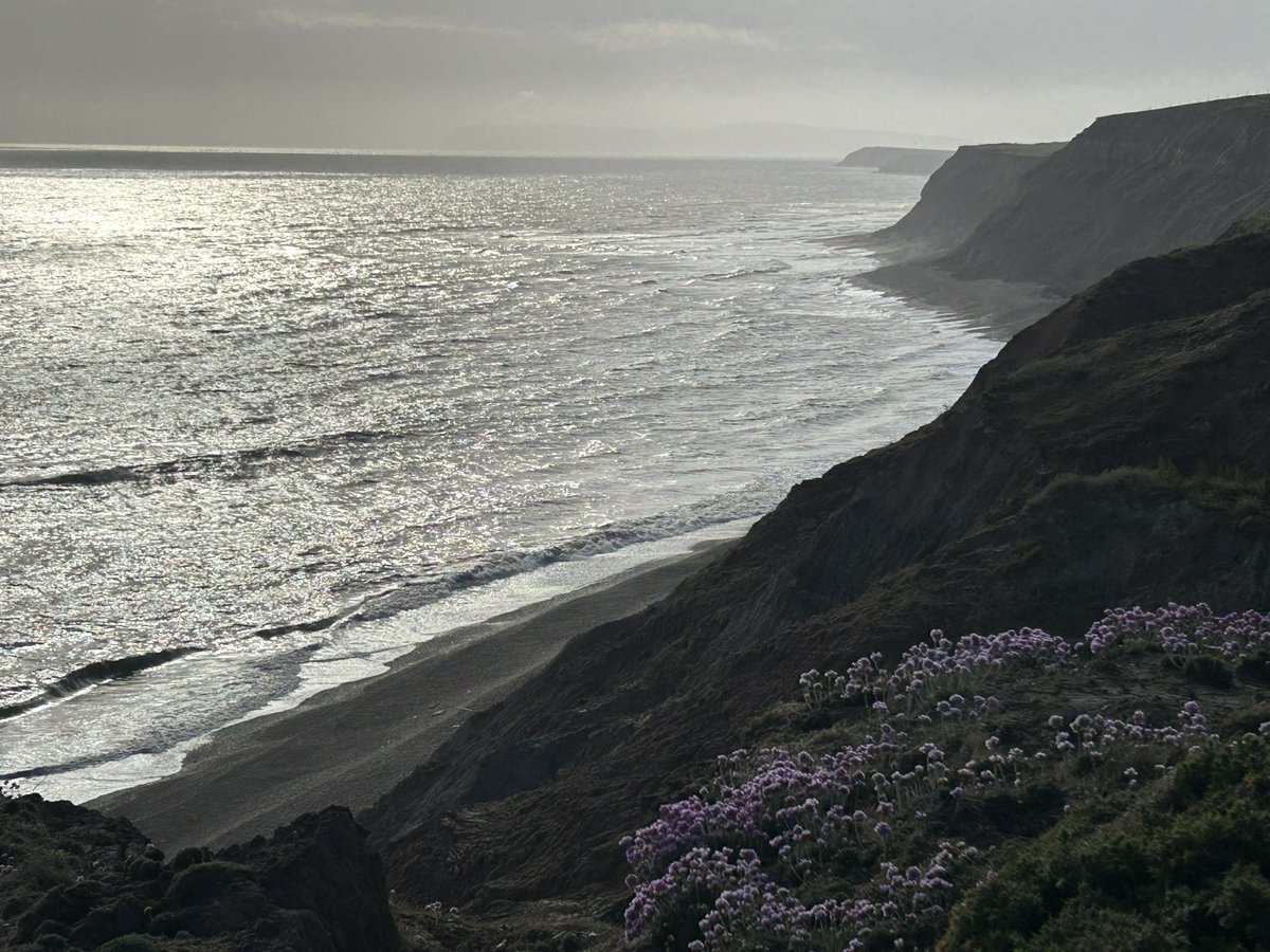 wightowl's tweet photo. A few pics taken yesterday along the Back o’ the Wight. 
New steps at Chilton Chine; Brighstone Bay; Barnes High; Atherfield Bay. #isleofwight https://t.co/nwOhg76r5p