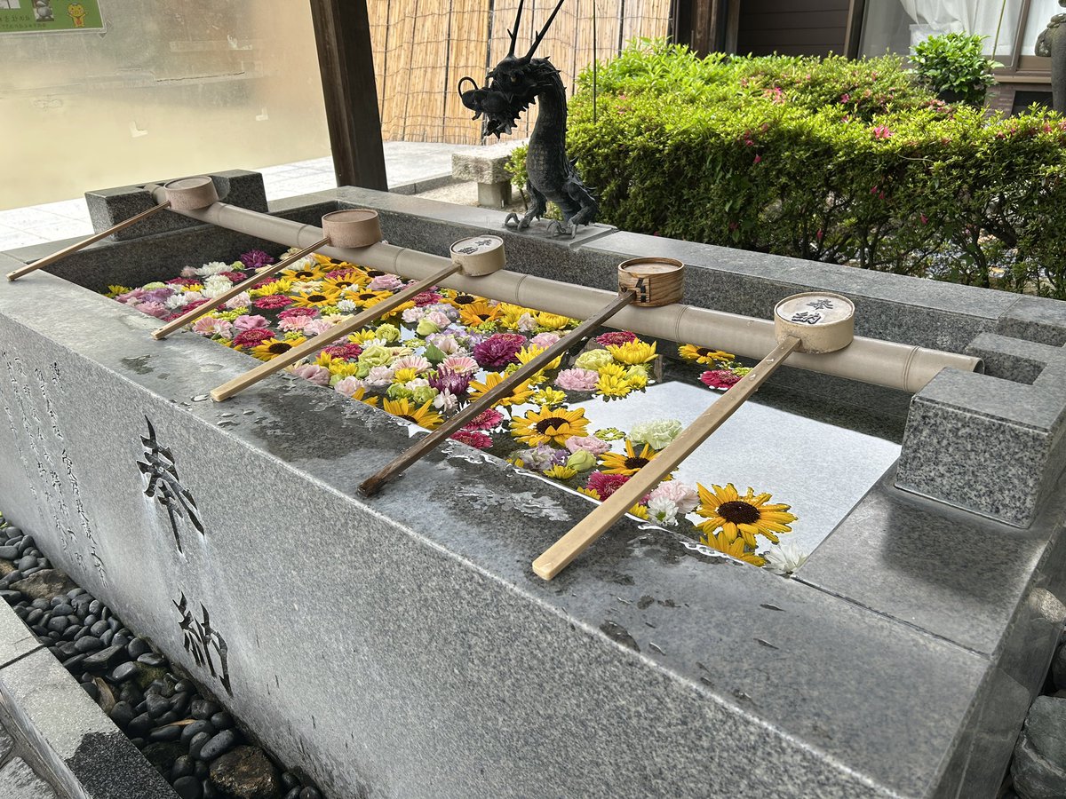 12_TYF's tweet photo. お休みを頂いておりました。 https://t.co/wVLcsxLlxQ